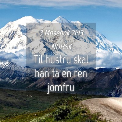 Picture 04 - 3 Mosebok 21:13 NORSK - Til hustru skal han ta en ren - Bible Verse Picture