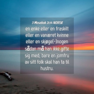 Picture 04 - 3 Mosebok 21:14 NORSK - en enke eller en fraskilt eller en vanæret - Bible Verse Picture