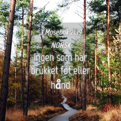 Picture 04 - 3 Mosebok 21:19 NORSK - ingen som har brukket fot eller - Bible Verse Picture