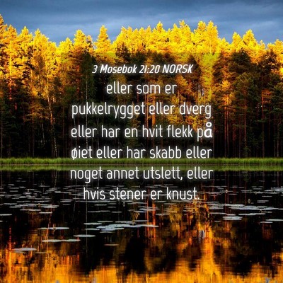 Picture 04 - 3 Mosebok 21:20 NORSK - eller som er pukkelrygget eller dverg eller har - Bible Verse Picture