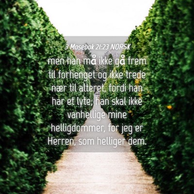Picture 04 - 3 Mosebok 21:23 NORSK - men han må ikke gå frem til forhenget og ikke - Bible Verse Picture