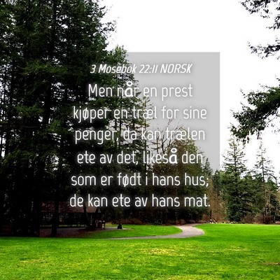 Picture 04 - 3 Mosebok 22:11 NORSK - Men når en prest kjøper en træl for sine - Bible Verse Picture