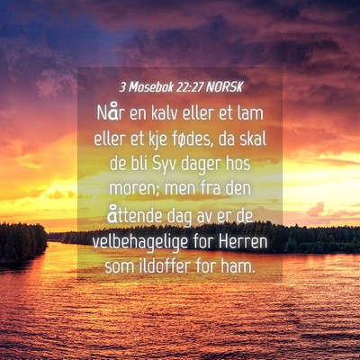 Picture 04 - 3 Mosebok 22:27 NORSK - Når en kalv eller et lam eller et kje fødes, da - Bible Verse Picture