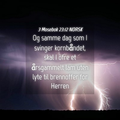 Picture 04 - 3 Mosebok 23:12 NORSK - Og samme dag som I svinger kornbåndet, skal I - Bible Verse Picture