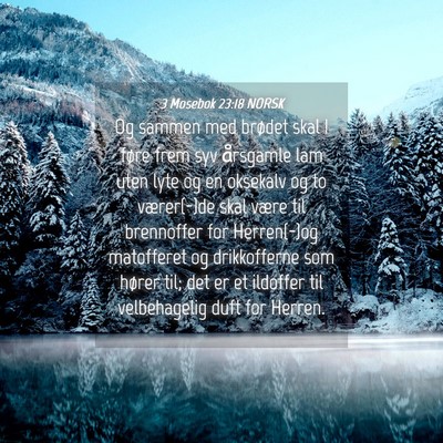 Picture 04 - 3 Mosebok 23:18 NORSK - Og sammen med brødet skal I føre frem syv - Bible Verse Picture
