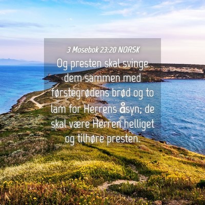 Picture 04 - 3 Mosebok 23:20 NORSK - Og presten skal svinge dem sammen med - Bible Verse Picture