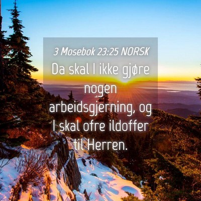 Picture 04 - 3 Mosebok 23:25 NORSK - Da skal I ikke gjøre nogen arbeidsgjerning, og I - Bible Verse Picture