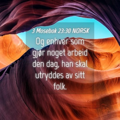 Picture 04 - 3 Mosebok 23:30 NORSK - Og enhver som gjør noget arbeid den dag, han - Bible Verse Picture