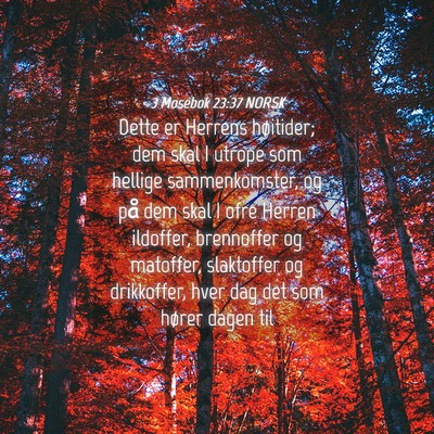 Picture 04 - 3 Mosebok 23:37 NORSK - Dette er Herrens høitider; dem skal I utrope som - Bible Verse Picture
