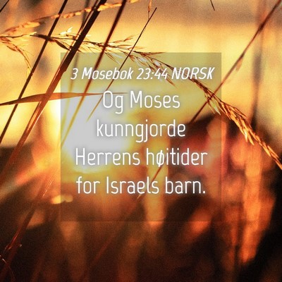 Picture 04 - 3 Mosebok 23:44 NORSK - Og Moses kunngjorde Herrens høitider for Israels - Bible Verse Picture