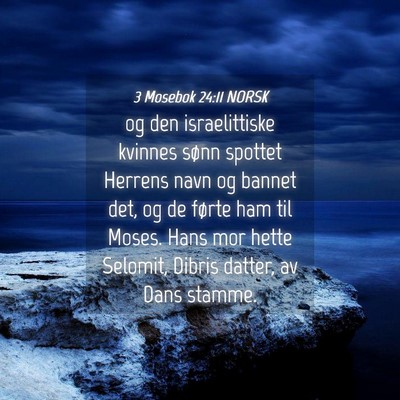 Picture 04 - 3 Mosebok 24:11 NORSK - og den israelittiske kvinnes sønn spottet - Bible Verse Picture