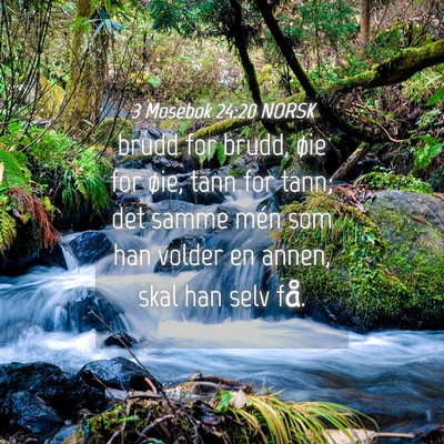 Picture 04 - 3 Mosebok 24:20 NORSK - brudd for brudd, øie for øie, tann for tann; - Bible Verse Picture