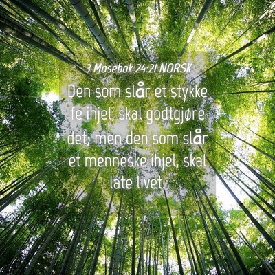 Picture 04 - 3 Mosebok 24:21 NORSK - Den som slår et stykke fe ihjel, skal godtgjøre - Bible Verse Picture