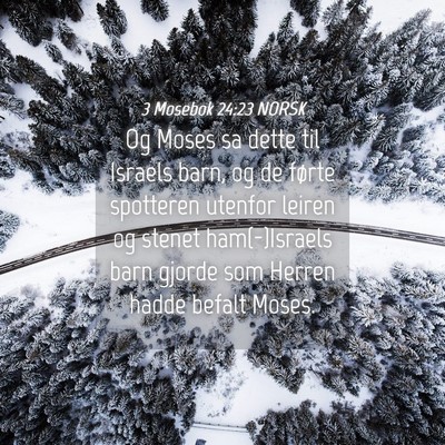 Picture 04 - 3 Mosebok 24:23 NORSK - Og Moses sa dette til Israels barn, og de førte - Bible Verse Picture