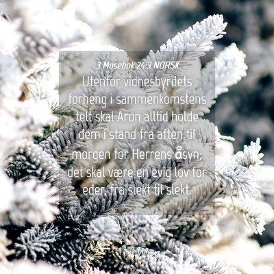 Picture 04 - 3 Mosebok 24:3 NORSK - Utenfor vidnesbyrdets forheng i sammenkomstens - Bible Verse Picture