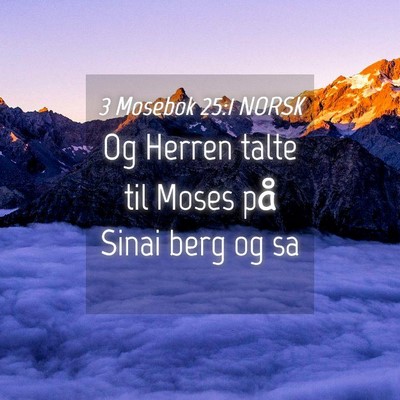 Picture 04 - 3 Mosebok 25:1 NORSK - Og Herren talte til Moses på Sinai berg og - Bible Verse Picture