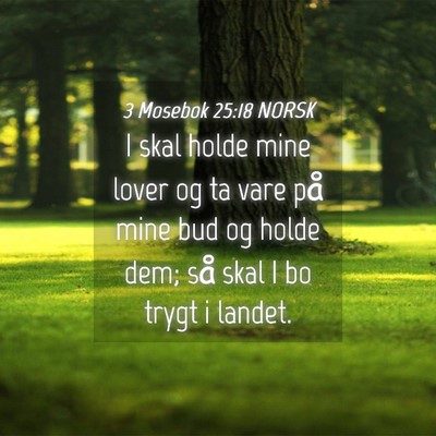 Picture 04 - 3 Mosebok 25:18 NORSK - I skal holde mine lover og ta vare på mine bud - Bible Verse Picture