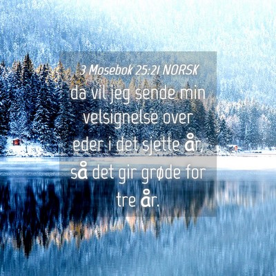 Picture 04 - 3 Mosebok 25:21 NORSK - da vil jeg sende min velsignelse over eder i det - Bible Verse Picture