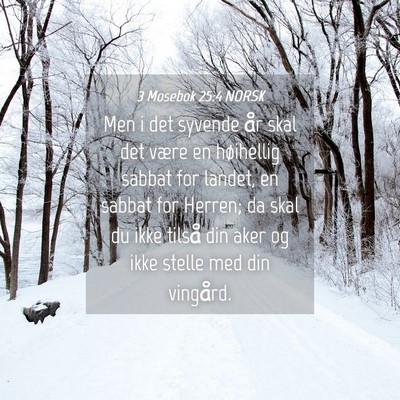 Picture 04 - 3 Mosebok 25:4 NORSK - Men i det syvende år skal det være en - Bible Verse Picture