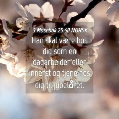 Picture 04 - 3 Mosebok 25:40 NORSK - Han skal være hos dig som en dagarbeider eller - Bible Verse Picture