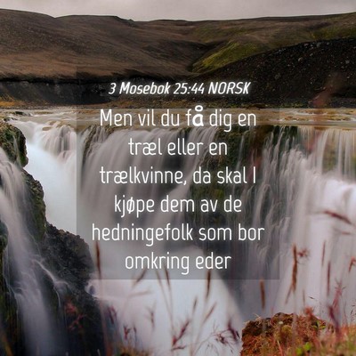 Picture 04 - 3 Mosebok 25:44 NORSK - Men vil du få dig en træl eller en trælkvinne, - Bible Verse Picture