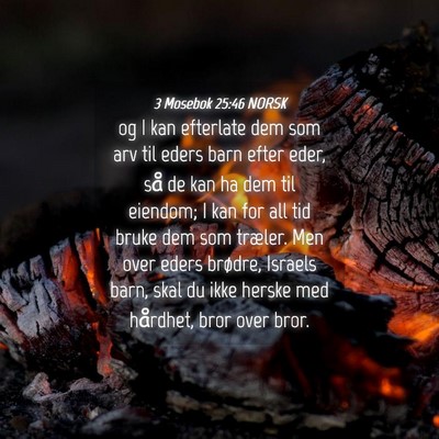Picture 04 - 3 Mosebok 25:46 NORSK - og I kan efterlate dem som arv til eders barn - Bible Verse Picture
