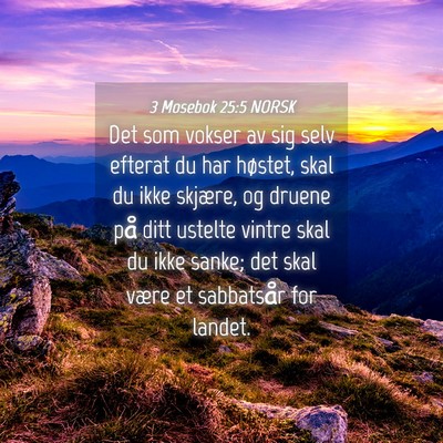 Picture 04 - 3 Mosebok 25:5 NORSK - Det som vokser av sig selv efterat du har - Bible Verse Picture