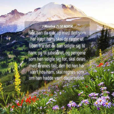 Picture 04 - 3 Mosebok 25:50 NORSK - Når han da gjør op med den som har kjøpt ham, - Bible Verse Picture