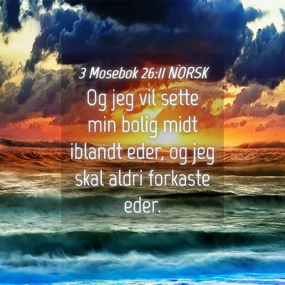 Picture 04 - 3 Mosebok 26:11 NORSK - Og jeg vil sette min bolig midt iblandt eder, og - Bible Verse Picture