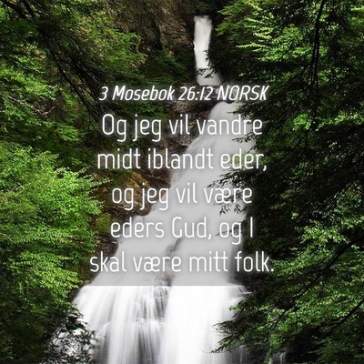 Picture 04 - 3 Mosebok 26:12 NORSK - Og jeg vil vandre midt iblandt eder, og jeg vil - Bible Verse Picture