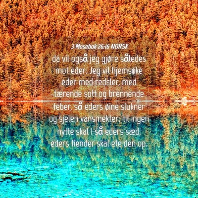 Picture 04 - 3 Mosebok 26:16 NORSK - da vil også jeg gjøre således mot eder: Jeg - Bible Verse Picture