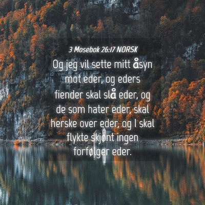 Picture 04 - 3 Mosebok 26:17 NORSK - Og jeg vil sette mitt åsyn mot eder, og eders - Bible Verse Picture