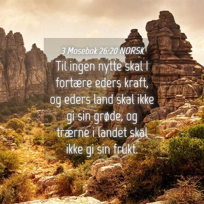 Picture 04 - 3 Mosebok 26:20 NORSK - Til ingen nytte skal I fortære eders kraft, og - Bible Verse Picture