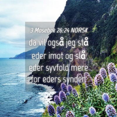 Picture 04 - 3 Mosebok 26:24 NORSK - da vil også jeg stå eder imot og slå eder - Bible Verse Picture