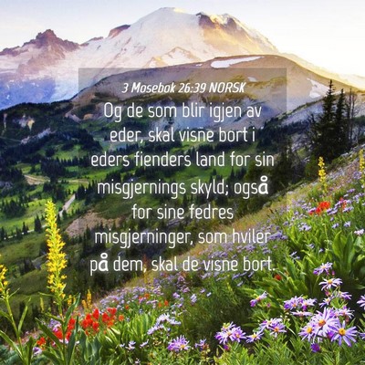 Picture 04 - 3 Mosebok 26:39 NORSK - Og de som blir igjen av eder, skal visne bort i - Bible Verse Picture
