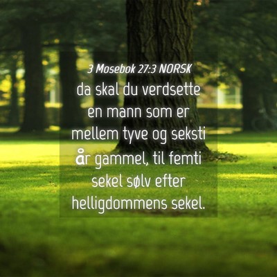 Picture 04 - 3 Mosebok 27:3 NORSK - da skal du verdsette en mann som er mellem tyve - Bible Verse Picture