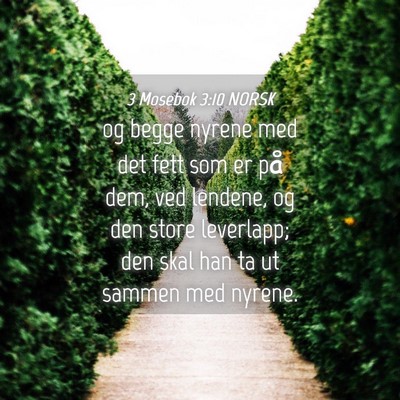 Picture 04 - 3 Mosebok 3:10 NORSK - og begge nyrene med det fett som er på dem, ved - Bible Verse Picture