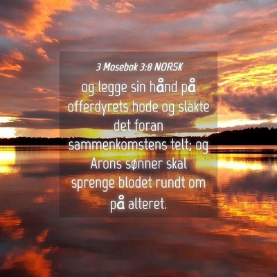 Picture 04 - 3 Mosebok 3:8 NORSK - og legge sin hånd på offerdyrets hode og slakte - Bible Verse Picture