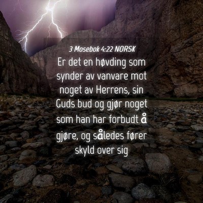 Picture 04 - 3 Mosebok 4:22 NORSK - Er det en høvding som synder av vanvare mot - Bible Verse Picture