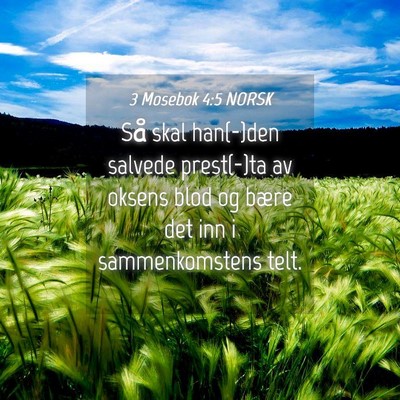 Picture 04 - 3 Mosebok 4:5 NORSK - Så skal han(-)den salvede prest(-)ta av oksens - Bible Verse Picture