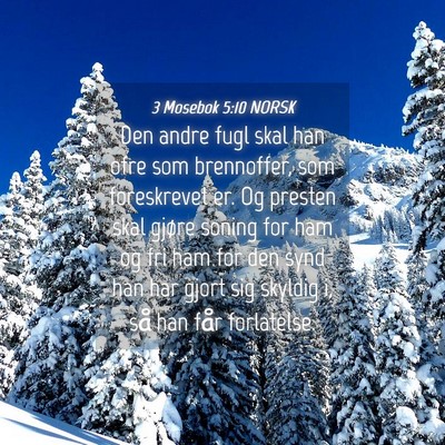 Picture 04 - 3 Mosebok 5:10 NORSK - Den andre fugl skal han ofre som brennoffer, som - Bible Verse Picture