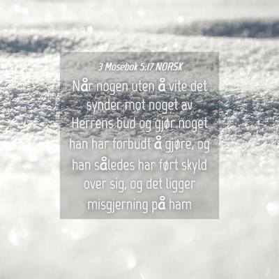 Picture 04 - 3 Mosebok 5:17 NORSK - Når nogen uten å vite det synder mot noget av - Bible Verse Picture