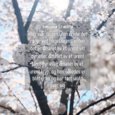 Picture 04 - 3 Mosebok 5:2 NORSK - eller når nogen uten å vite det rører ved - Bible Verse Picture