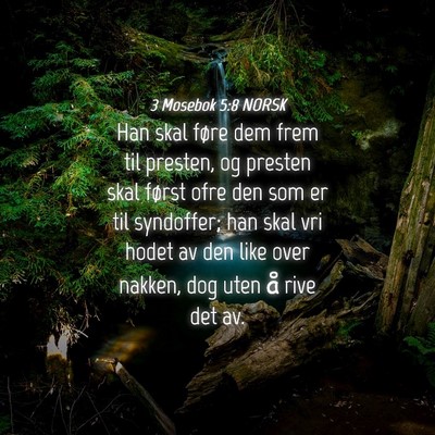 Picture 04 - 3 Mosebok 5:8 NORSK - Han skal føre dem frem til presten, og presten - Bible Verse Picture