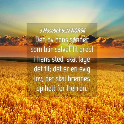 Picture 04 - 3 Mosebok 6:22 NORSK - Den av hans sønner som blir salvet til prest i - Bible Verse Picture