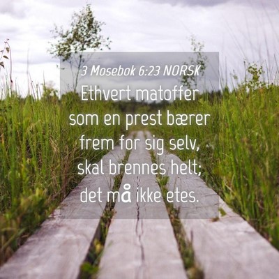 Picture 04 - 3 Mosebok 6:23 NORSK - Ethvert matoffer som en prest bærer frem for sig - Bible Verse Picture