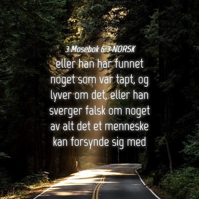 Picture 04 - 3 Mosebok 6:3 NORSK - eller han har funnet noget som var tapt, og lyver - Bible Verse Picture
