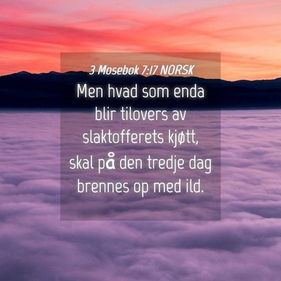 Picture 04 - 3 Mosebok 7:17 NORSK - Men hvad som enda blir tilovers av slaktofferets - Bible Verse Picture