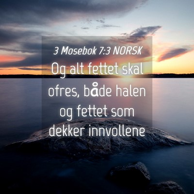 Picture 04 - 3 Mosebok 7:3 NORSK - Og alt fettet skal ofres, både halen og fettet - Bible Verse Picture