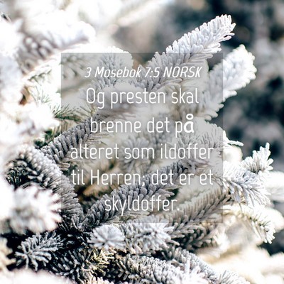 Picture 04 - 3 Mosebok 7:5 NORSK - Og presten skal brenne det på alteret som - Bible Verse Picture